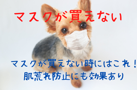 マスクが買えないの解決法!肌荒れ対策にも効果ありのおすすめアイテムは?